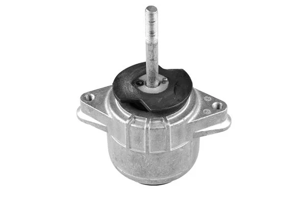 Variklio montavimas TEDGUM TED86959
