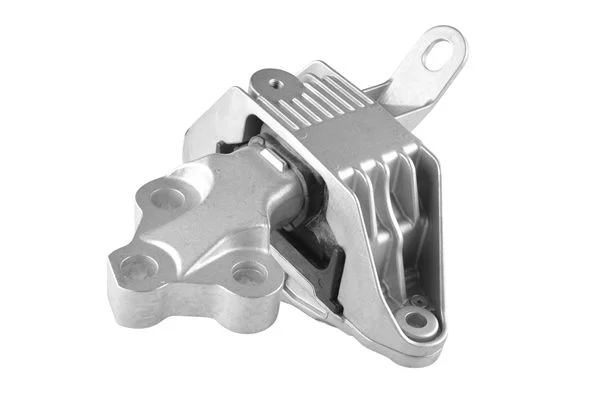 Variklio montavimas TEDGUM TED89067