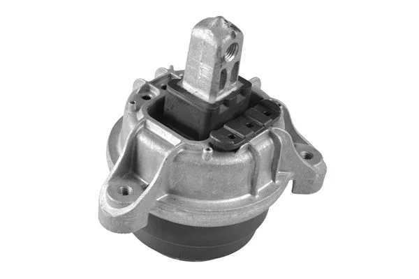 Variklio montavimas TEDGUM TED89787