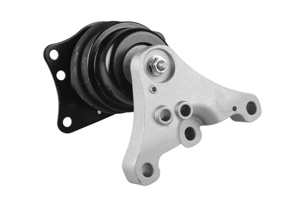 Variklio montavimas TEDGUM TED91640