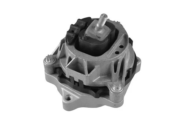 Variklio montavimas TEDGUM TED91713