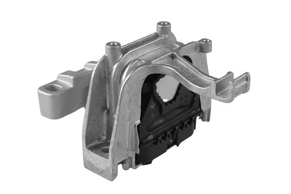 Variklio montavimas TEDGUM TED94660