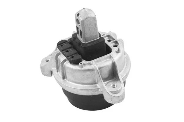 Variklio montavimas TEDGUM TED96152