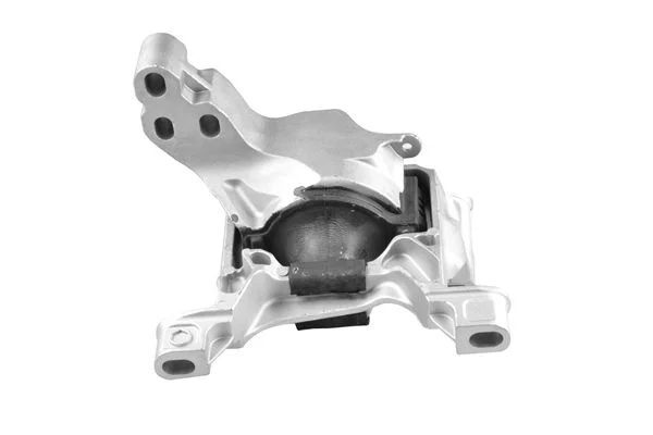 Variklio montavimas TEDGUM TED96317