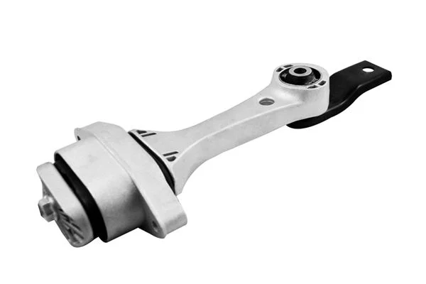 Variklio montavimas TEDGUM TED96518