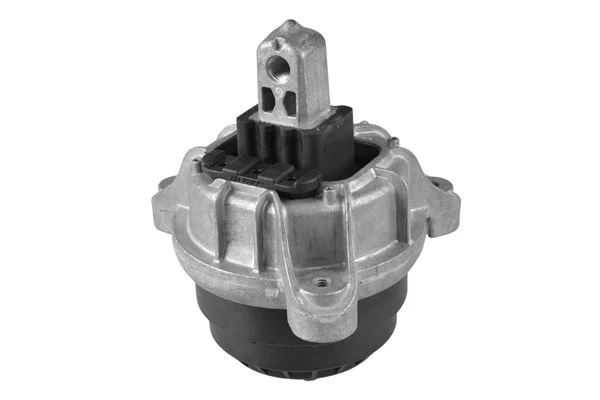 Variklio montavimas TEDGUM TED97298
