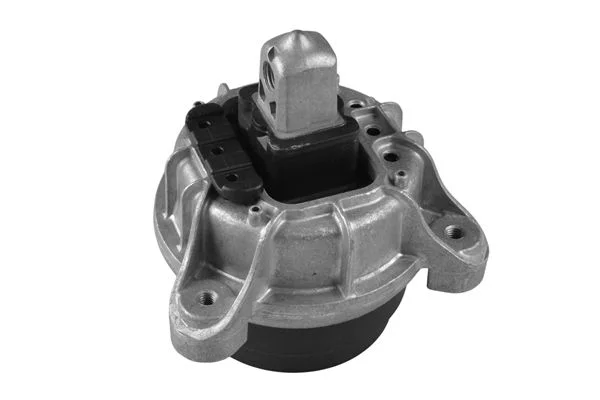 Variklio montavimas TEDGUM TED97318