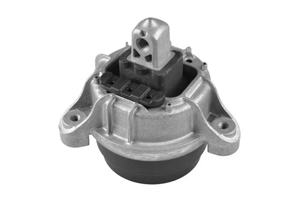 Variklio montavimas TEDGUM TED97460