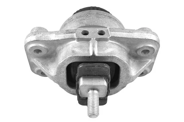 Variklio montavimas TEDGUM TED97635