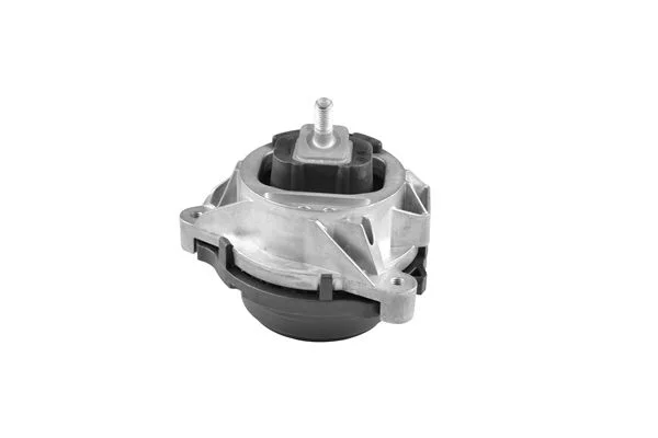 Variklio montavimas TEDGUM TED98030
