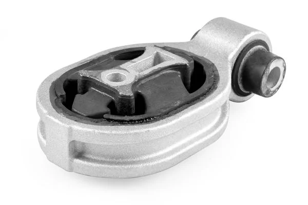 Variklio montavimas TEDGUM TED98141