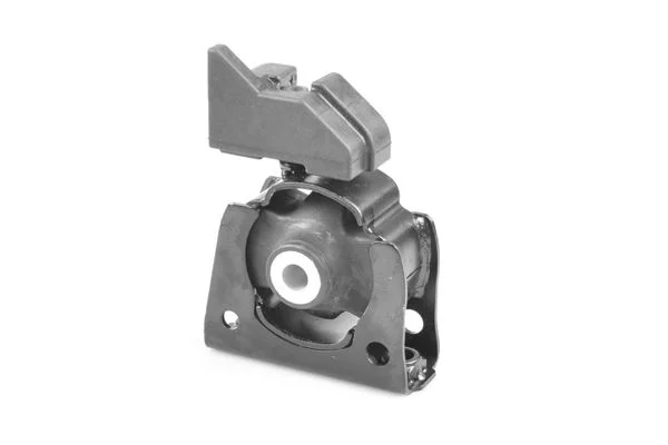 Variklio montavimas TEDGUM TED98385