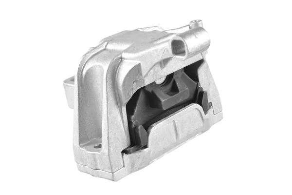 Variklio montavimas TEDGUM TED98663