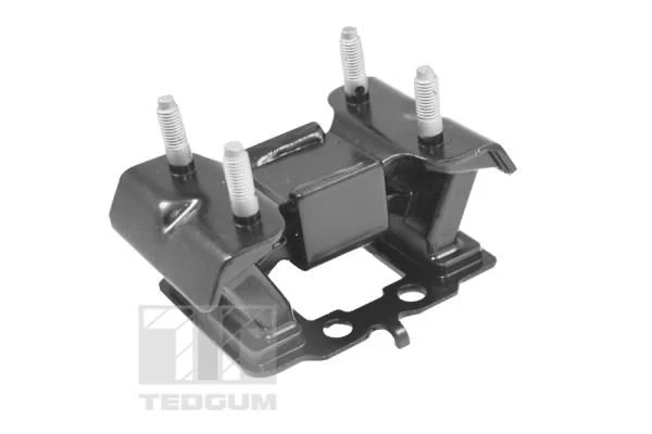 Variklio montavimas TEDGUM TED99751