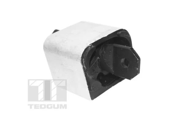 Variklio montavimas TEDGUM TED99764