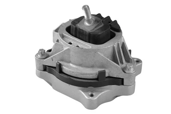 Variklio montavimas TEDGUM TED99821