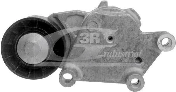 Tensioner Lever, V-ribbed belt 3RG 13242