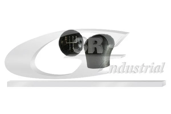 Gear Lever Knob 3RG 25610