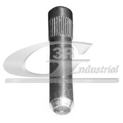 Door Hinge 3RG 80721