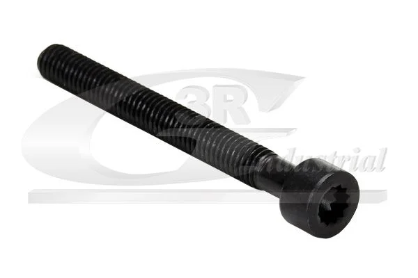 Screw, injection nozzle holder 3RG 99703