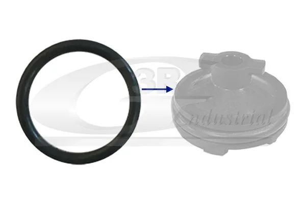 Seal Ring, oil drain plug 3RG 84238