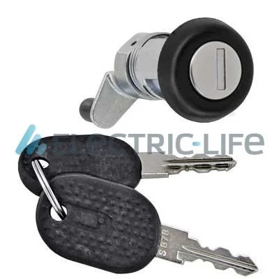 Lock Cylinder Housing Electric Life ZR80383B