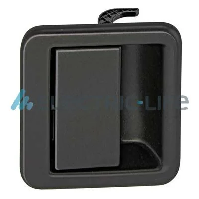 Exterior Door Handle Electric Life ZR80403