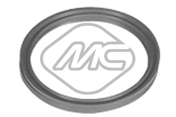 Tarpiklis, turbinos oro žarna Metalcaucho 98720