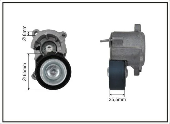 Tensioner Lever, V-ribbed belt CAFFARO 100500SP