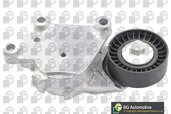 Tensioner Lever, V-ribbed belt BGA DC0904