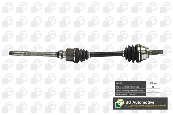 Pusašis BGA DS1408R
