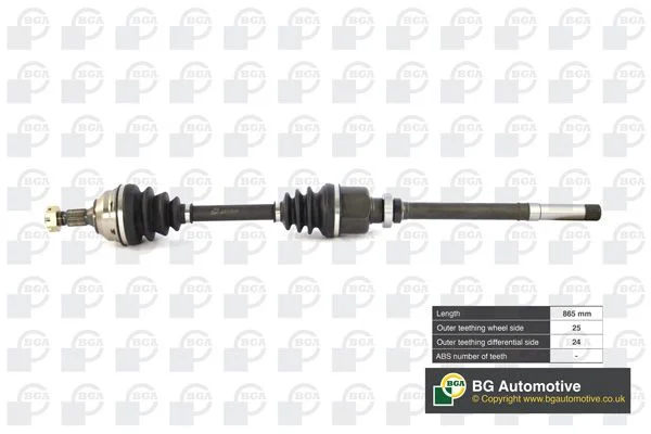 Pusašis BGA DS1410R