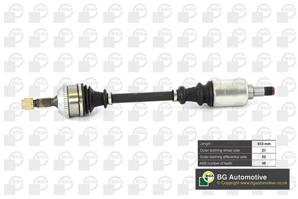 Pusašis BGA DS1416LA