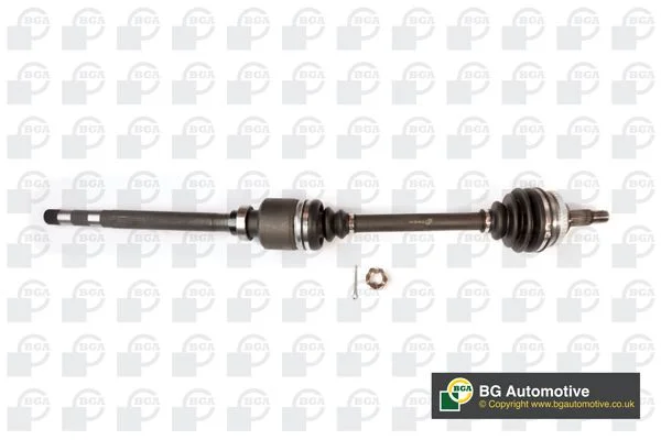 Pusašis BGA DS1418R