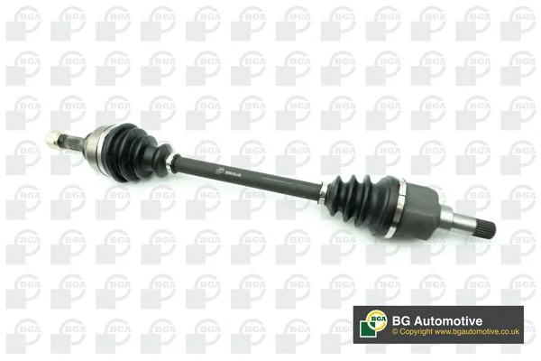 Pusašis BGA DS1420L