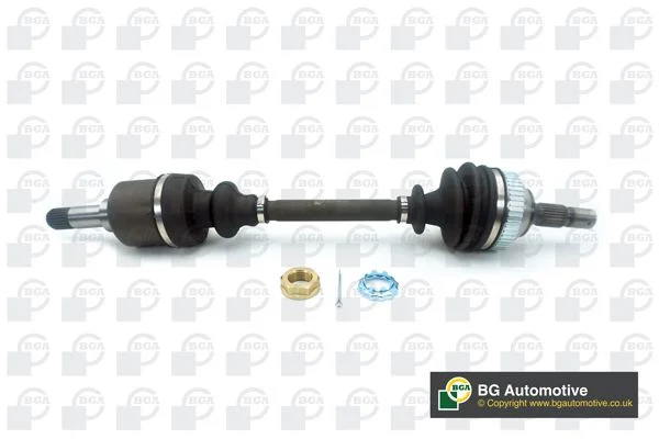 Pusašis BGA DS1425L