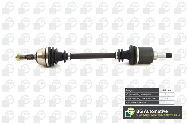 Pusašis BGA DS1432L