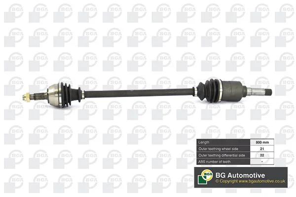 Pusašis BGA DS1432R