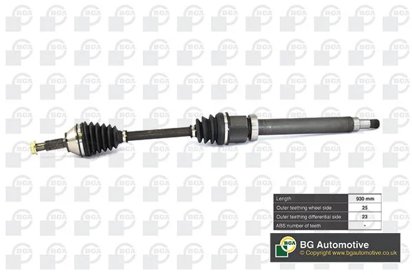 Pusašis BGA DS2301R