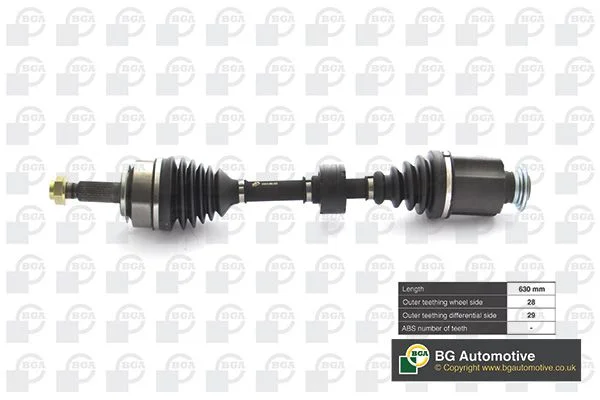 Pusašis BGA DS2519R