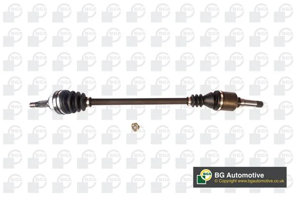 Pusašis BGA DS4206R