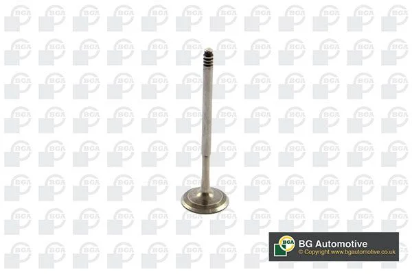 Intake Valve BGA V090108