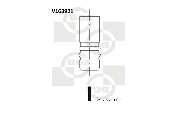 Výfukový ventil BGA V163921