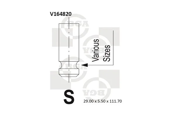 Įvado vožtuvas BGA V164820