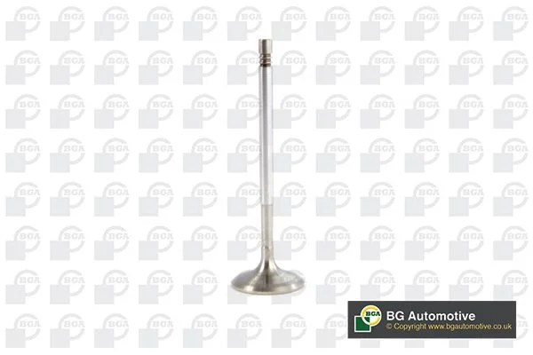 Intake Valve BGA V561127