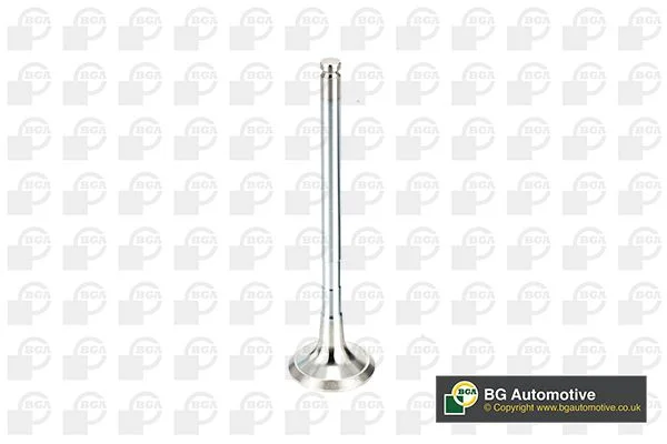 Exhaust Valve BGA V991774