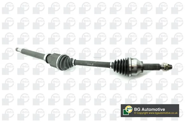 Pusašis bga DS2318R