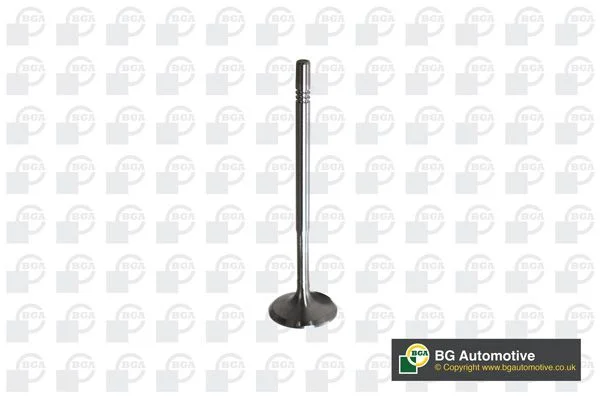 Įvado vožtuvas BGA V560013
