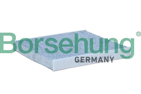 Filtras, salono oras BORSEHUNG B10534
