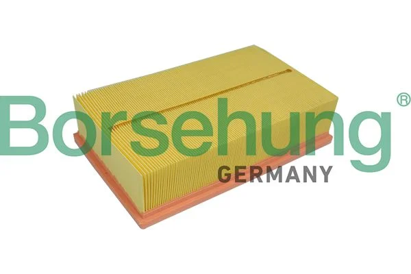 Oro filtras BORSEHUNG B10537